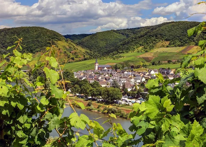 Appartement Moselhof